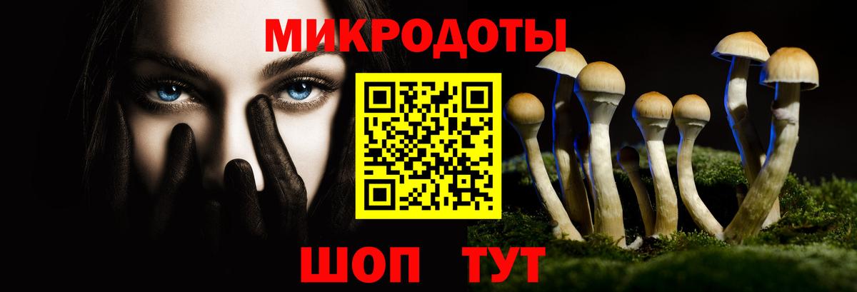 Псилоцибиновые грибы Cubensis Минеральные Воды